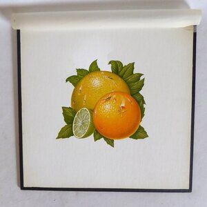 OOAK ORIGINAL ARTWORK CITRUS FRUIT STILL LIFE ILLUSTRATION BY BILL HALL